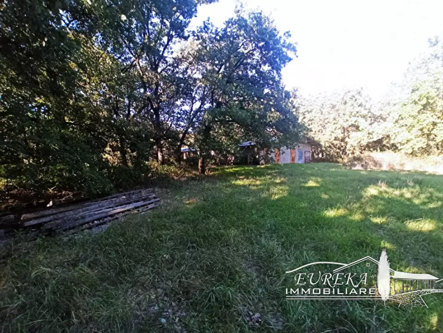 Immagine 6 di Capannone industriale in vendita  in bertoni a Castiglione Del Lago