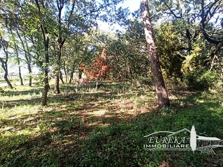 Immagine 8 di Capannone industriale in vendita  in bertoni a Castiglione Del Lago