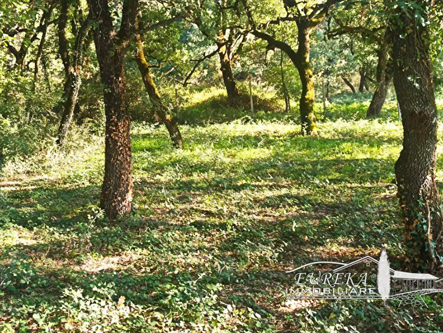 Immagine 9 di Capannone industriale in vendita  in bertoni a Castiglione Del Lago