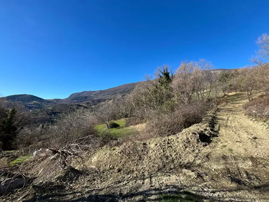 Immagine 19 di Casa indipendente in vendita  a Carpineto Della Nora