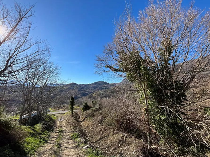 Immagine 22 di Casa indipendente in vendita  a Carpineto Della Nora