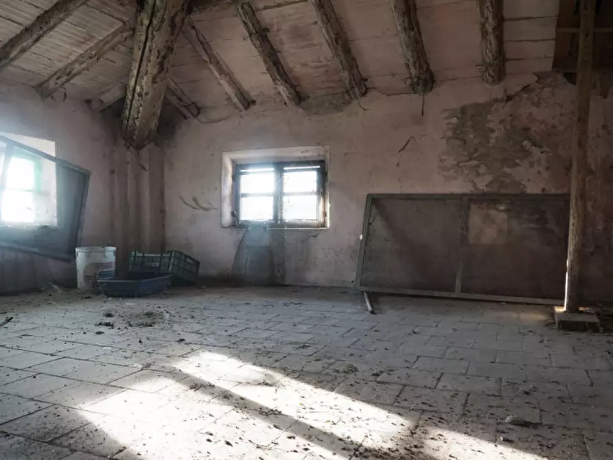 Immagine 9 di Rustico / casale in vendita  in strada veronica a Parma