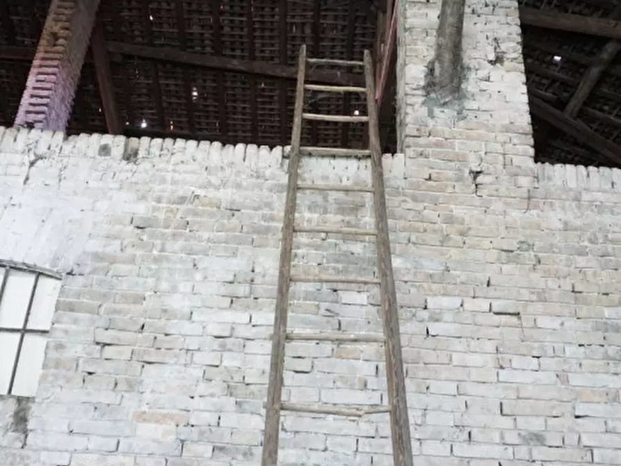 Immagine 15 di Rustico / casale in vendita  in strada veronica a Parma