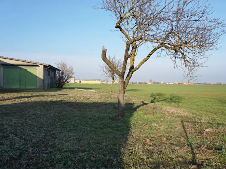 Immagine 29 di Rustico / casale in vendita  in strada veronica a Parma