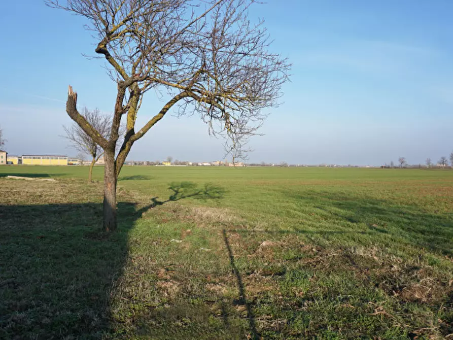 Immagine 30 di Rustico / casale in vendita  in strada veronica a Parma