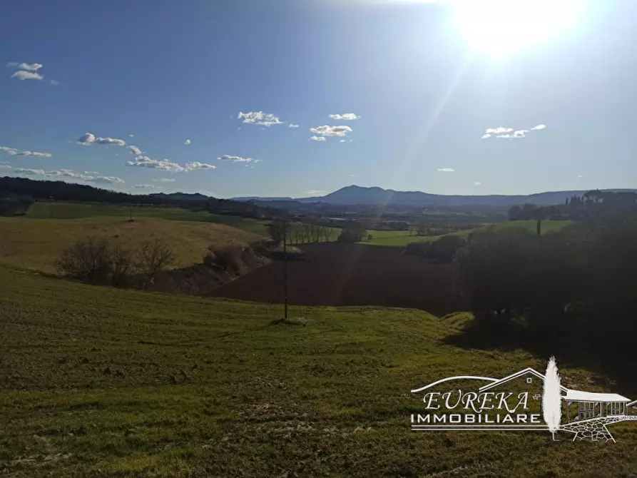 Immagine 20 di Rustico / casale in vendita  in porto a Castiglione Del Lago