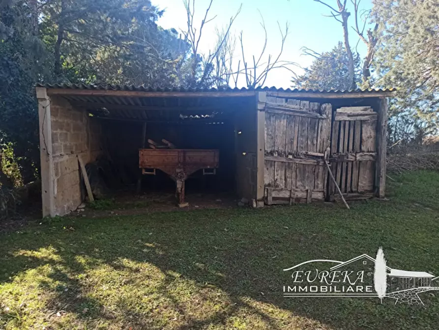 Immagine 24 di Rustico / casale in vendita  in porto a Castiglione Del Lago