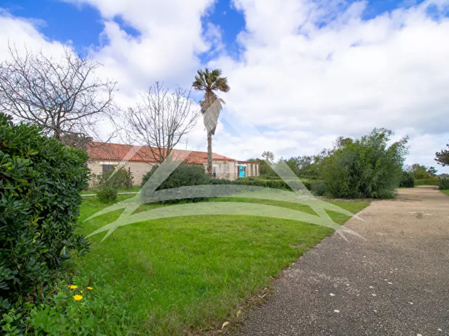 Immagine 4 di Bed & Breakfast in vendita  a Stintino