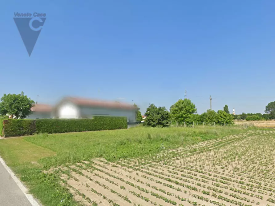 Immagine 2 di Terreno in vendita  in via Pavane 3c a Polverara