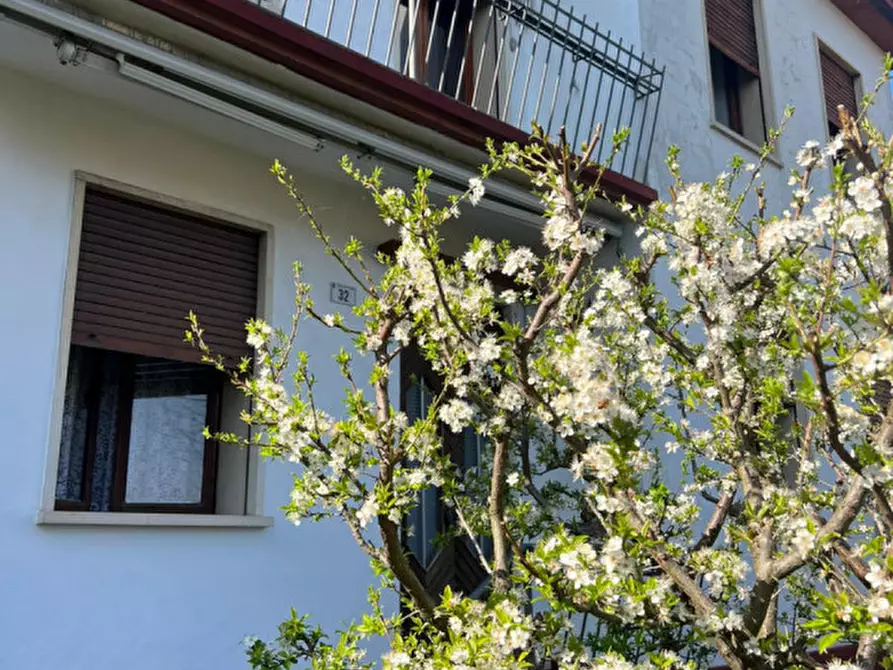 Immagine 2 di Casa indipendente in vendita  in Via Fontanon a Lozzo Atestino