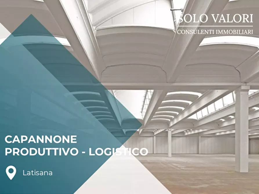 Immagine 3 di Capannone industriale in affitto  in latisana a Latisana