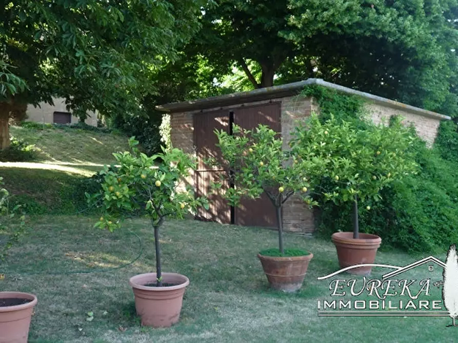 Immagine 44 di Villa in vendita  in villastrada a Castiglione Del Lago