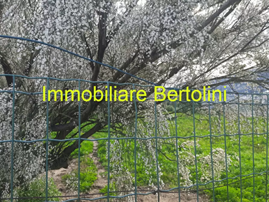 Immagine 10 di Casa indipendente in vendita  in COLDIRODI a San Remo