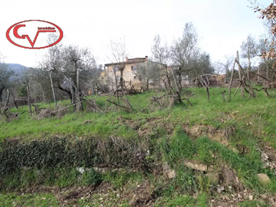 Immagine 4 di Rustico / casale in vendita  in Massa dei sabbioni a Cavriglia