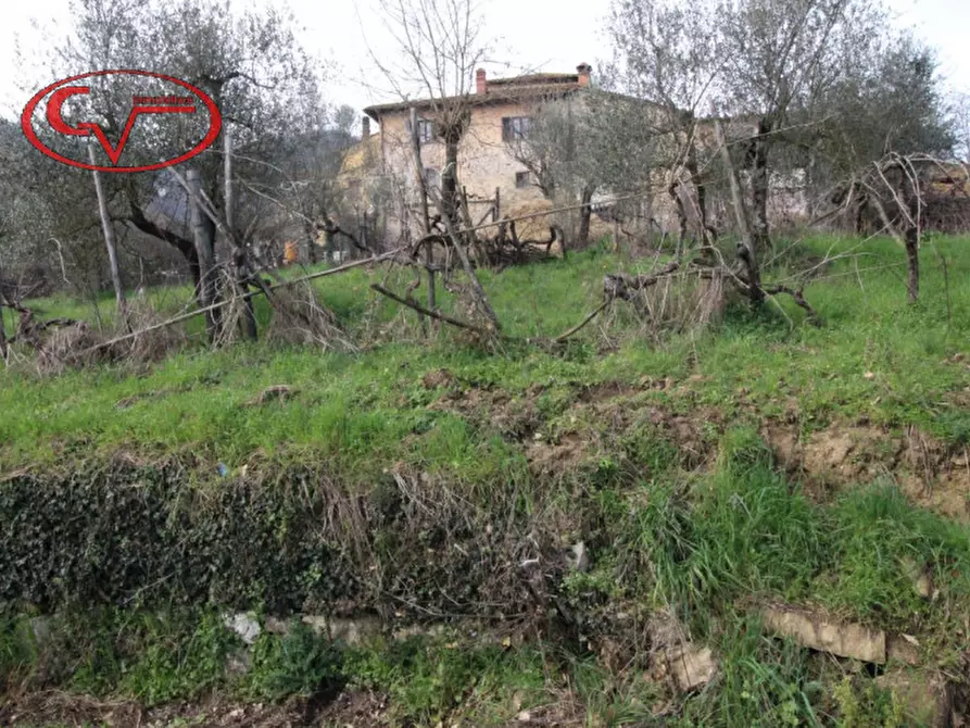 Immagine 5 di Rustico / casale in vendita  in Massa dei sabbioni a Cavriglia