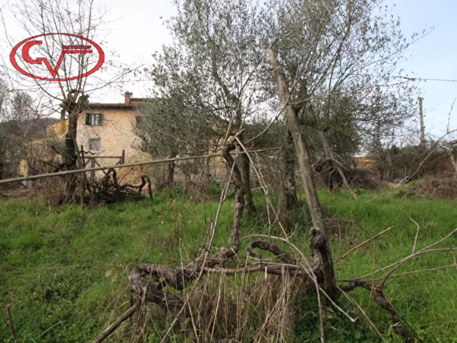 Immagine 7 di Rustico / casale in vendita  in Massa dei sabbioni a Cavriglia