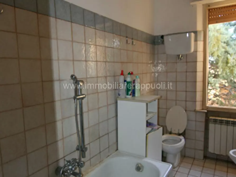 Immagine 7 di Appartamento in vendita  a Sinalunga