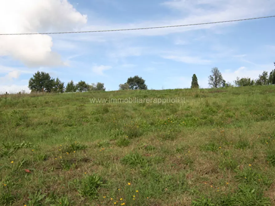 Immagine 2 di Terreno in vendita  a Sinalunga