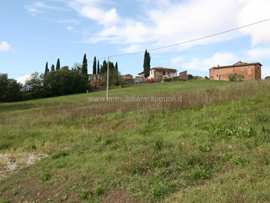 Immagine 3 di Terreno in vendita  a Sinalunga