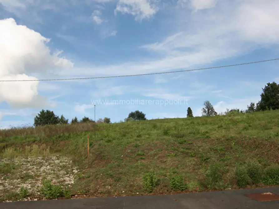 Immagine 4 di Terreno in vendita  a Sinalunga