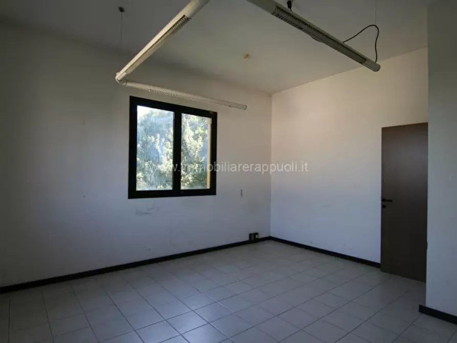 Immagine 5 di Ufficio in affitto  a Sinalunga