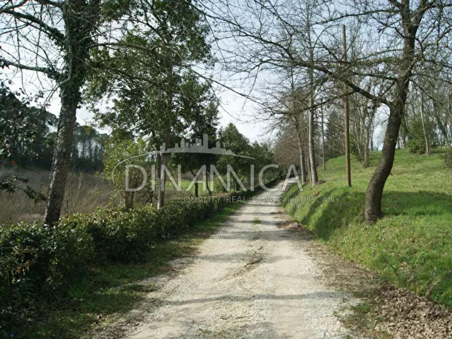 Immagine 4 di Rustico / casale in vendita  a Fucecchio