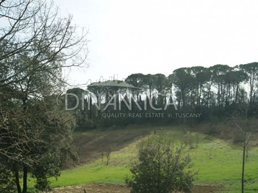 Immagine 6 di Rustico / casale in vendita  a Fucecchio