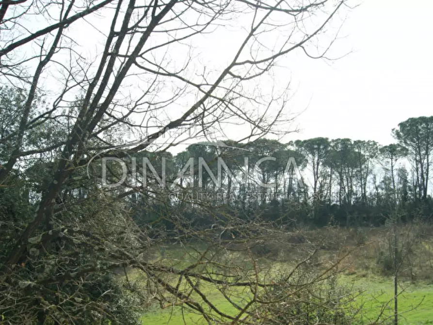 Immagine 27 di Rustico / casale in vendita  a Fucecchio