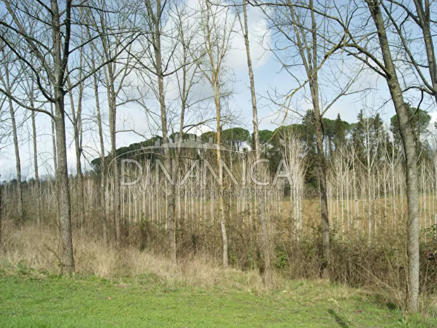 Immagine 34 di Rustico / casale in vendita  a Fucecchio