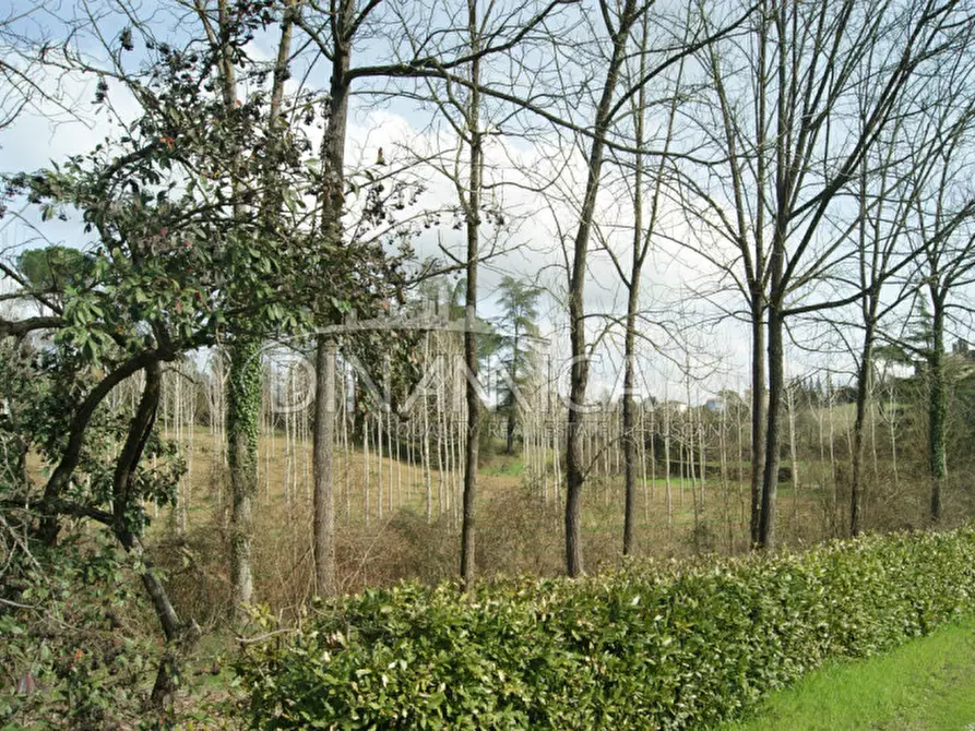 Immagine 35 di Rustico / casale in vendita  a Fucecchio