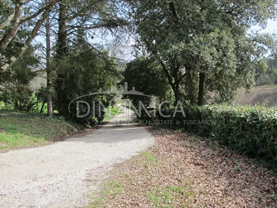 Immagine 37 di Rustico / casale in vendita  a Fucecchio