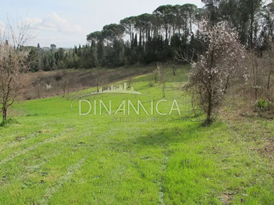 Immagine 39 di Rustico / casale in vendita  a Fucecchio