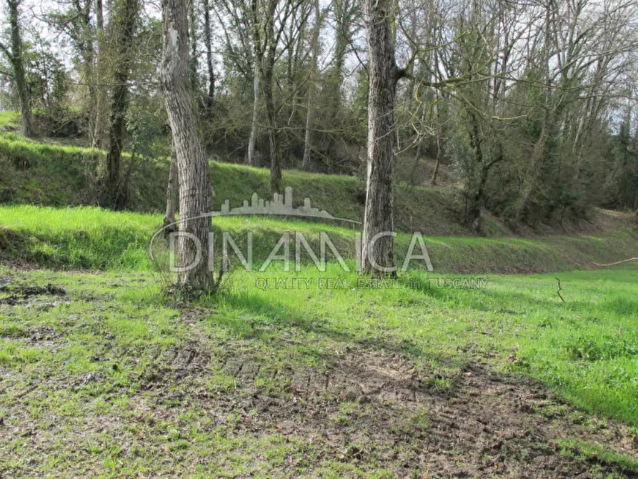 Immagine 48 di Rustico / casale in vendita  a Fucecchio