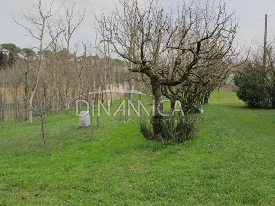 Immagine 56 di Rustico / casale in vendita  a Fucecchio