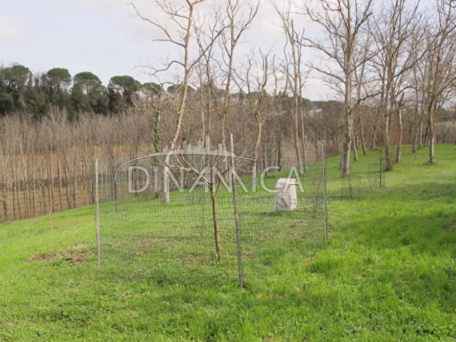 Immagine 58 di Rustico / casale in vendita  a Fucecchio