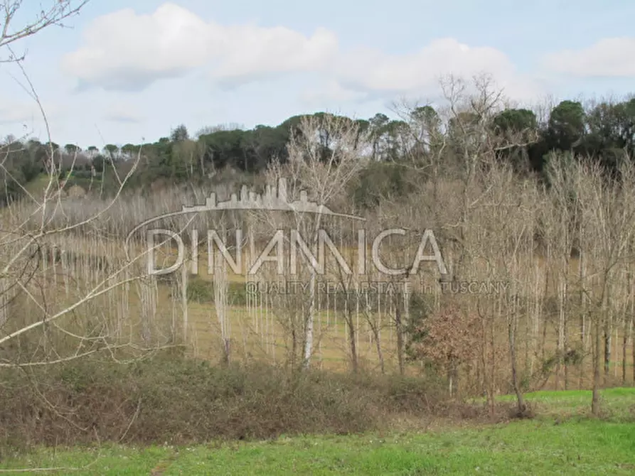 Immagine 59 di Rustico / casale in vendita  a Fucecchio