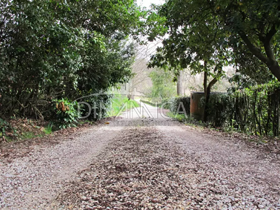 Immagine 62 di Rustico / casale in vendita  a Fucecchio