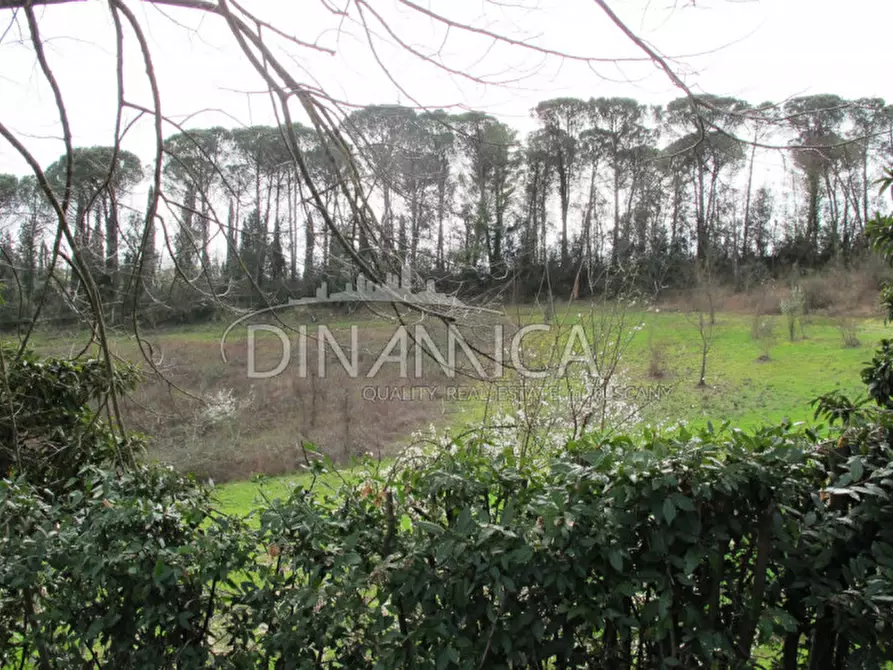 Immagine 65 di Rustico / casale in vendita  a Fucecchio