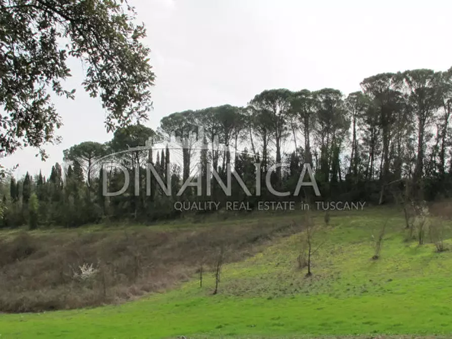 Immagine 67 di Rustico / casale in vendita  a Fucecchio