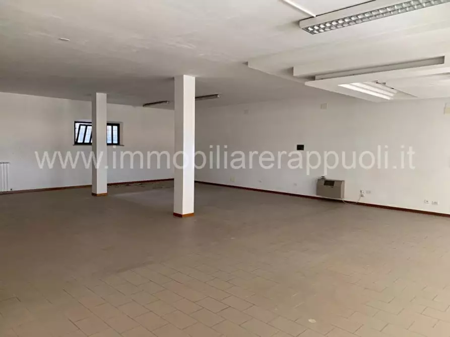 Immagine 2 di Attività commerciale in vendita  a Torrita Di Siena