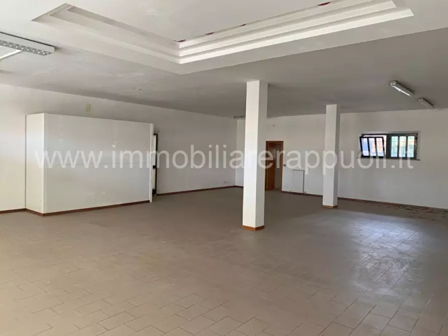 Immagine 3 di Attività commerciale in vendita  a Torrita Di Siena