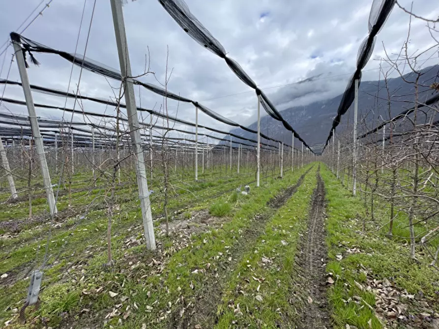 Immagine 2 di Terreno in vendita  in Salorno a Salorno .Salurn.