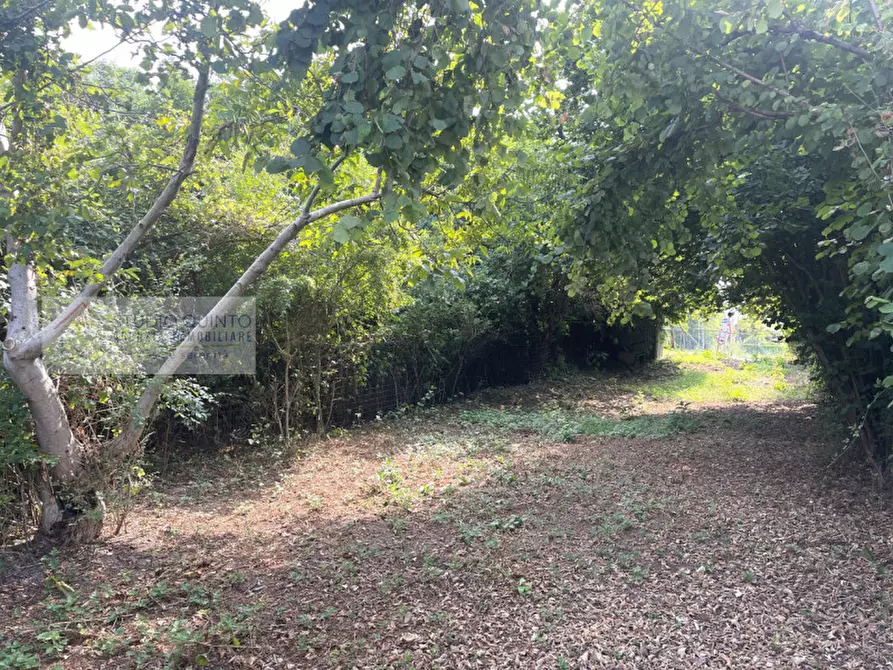 Immagine 3 di Casa bifamiliare in vendita  a Quinto Di Treviso