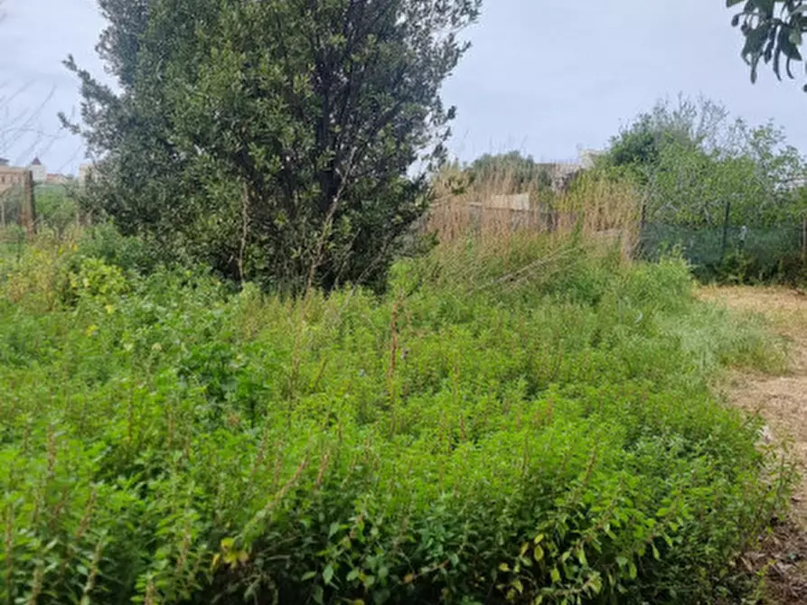 Immagine 4 di Casa indipendente in vendita  in Via Luigi Fulci, 69 a Milazzo