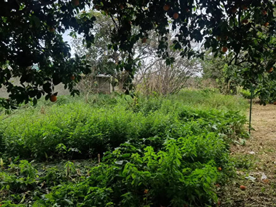 Immagine 8 di Casa indipendente in vendita  in Via Luigi Fulci, 69 a Milazzo