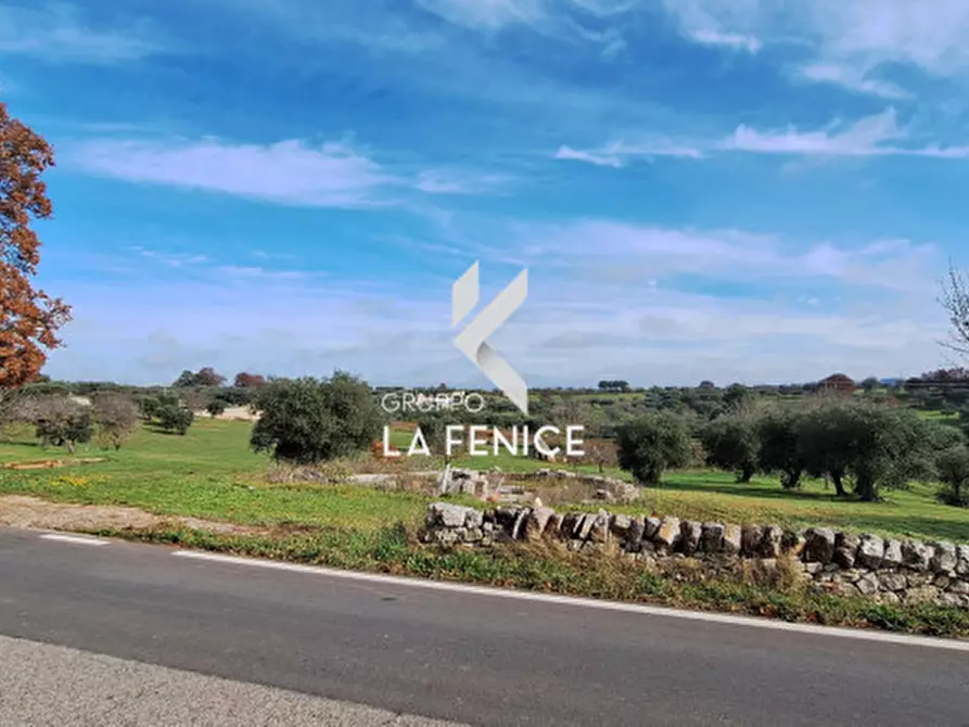Immagine 1 di Terreno in vendita  in contrada Monte Tre Carlini a Martina Franca