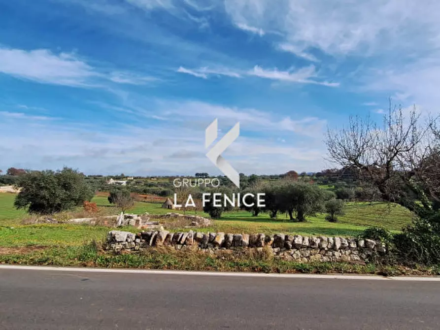 Immagine 2 di Terreno in vendita  in contrada Monte Tre Carlini a Martina Franca