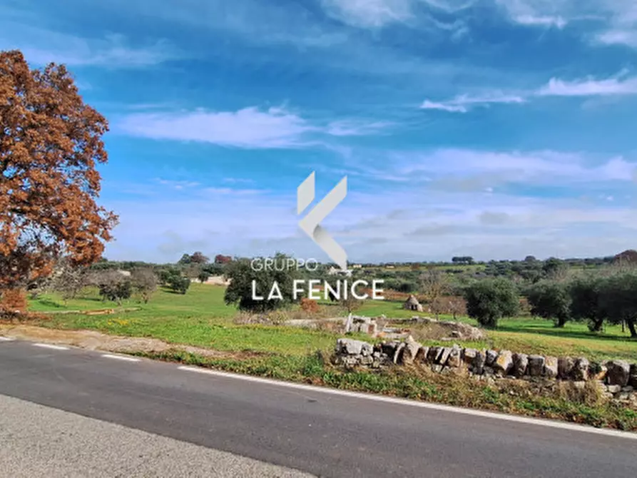 Immagine 3 di Terreno in vendita  in contrada Monte Tre Carlini a Martina Franca