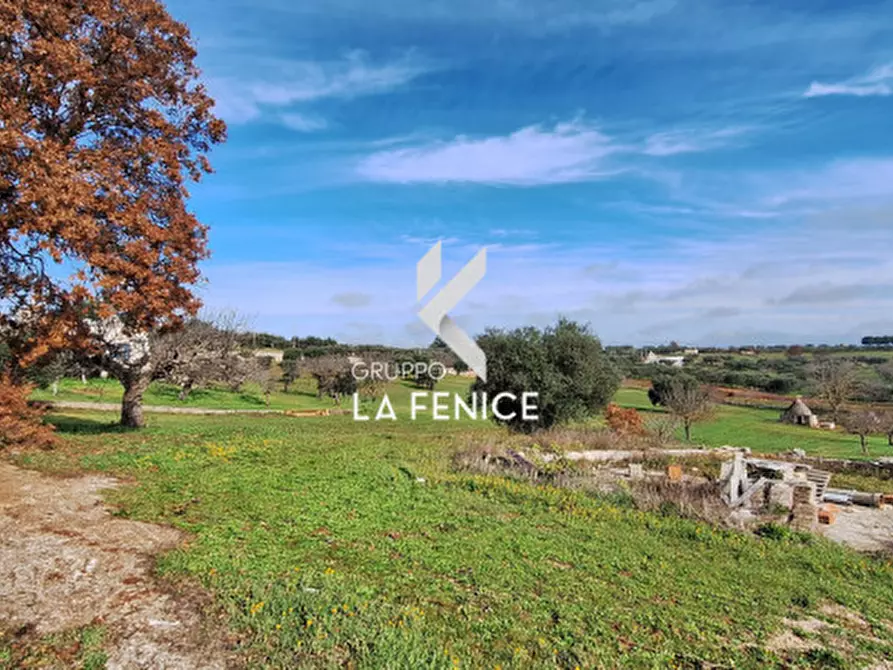 Immagine 4 di Terreno in vendita  in contrada Monte Tre Carlini a Martina Franca