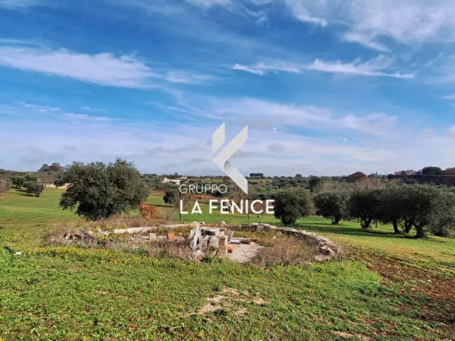 Immagine 5 di Terreno in vendita  in contrada Monte Tre Carlini a Martina Franca